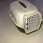 اغراض قطط