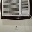 مقاس 24 كمبرشر كبير أمريكي