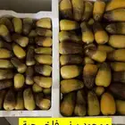 برني فاخر حبه كبيره العلا