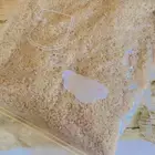 كسكسي