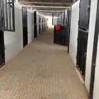 ايوا خيل في مفرق رماح