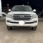 جكسار 2016 رقم 1 بريمي