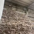 حطب سمر افريقي ب24