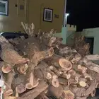 اخشاب للبيع كفو