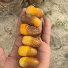 ثمر للبيع