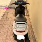 دباب عجيب سزوكي 2019