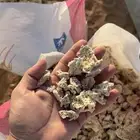 عجين
