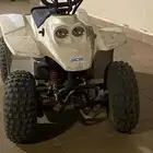 دباب تايقر للبيع