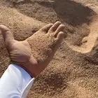 بطحاء دفان البلاط خشنها