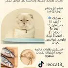 اكل قطط صنع منزلي