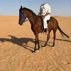 فرس حمراء