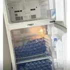 المدينه المنورة