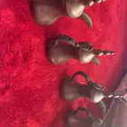 رسلان ختمين