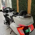 جولد وينق 2018