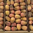 سكرية حمراء حبة وسط بدون كيماويات