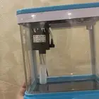 سمك للبيع