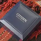 ستزن فنتج   CITIZEN