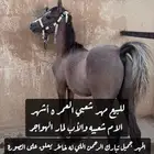 للبيع مهر شعبي