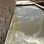 جده