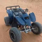 دباب سويدي للبيع على أسوم