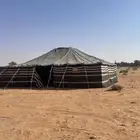 بيت شعر 10 10 مروبع