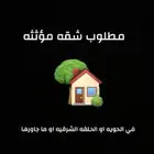 مطلوب شقه مفروشه