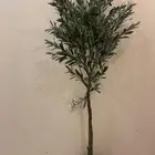 شجرة زيتون كبيرة صناعي