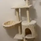 مستلزمات قطط