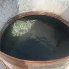 دهاتسون وايت