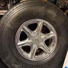جنوط دينالي مع بوالين