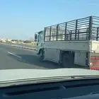 دينه دينا طايف نقل دينات توصيل الطايف