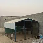 صندقه شبك دجاج و حمام