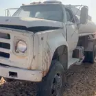 وايت ماء دوج شغال