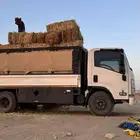 ديانة ل كل المشاوير