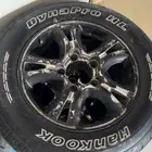 جنوط فراشه للبيع