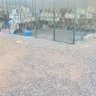شبك حمام