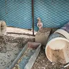 حمام باكستاني