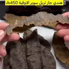 عود طبيعي هندي