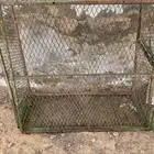 شبك حمام و دجاج