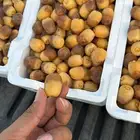 روثانا المدينه المنوره