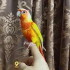 صن شيك دبل ريد فاكتور