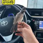 بلابل كشميري