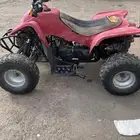 دباب سويدي الاصلي