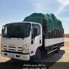 دينا مشاوير