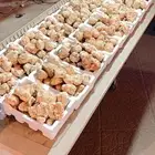 فقع زبيدي بلدي طازج لقط اليوم والسعر مناسب جدا