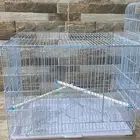 اقفاص   ستاند طيور