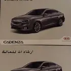 كتلوج كادينزا 19