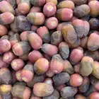 خراف سكرية حمراء بدون كيماوي