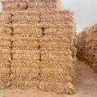 رودس ناعم درجه أولى تلبين الحبه من 90 إلى متر تلبين جوندير