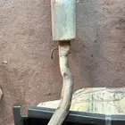 هدرز بحريني لاند